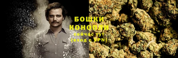 PSILOCYBIN Красноперекопск